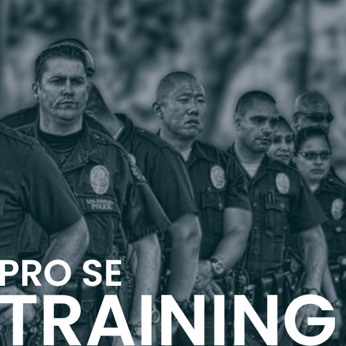 Pro Se Brady Training