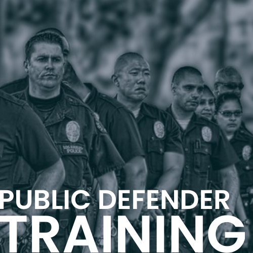 Public Defender Brady Training